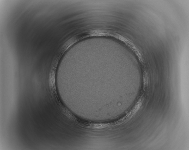 X0000102531273200809051501