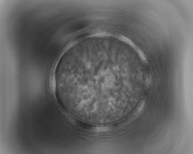 X0000102531274200809051501