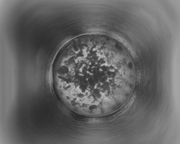 X0000102531275200809051501