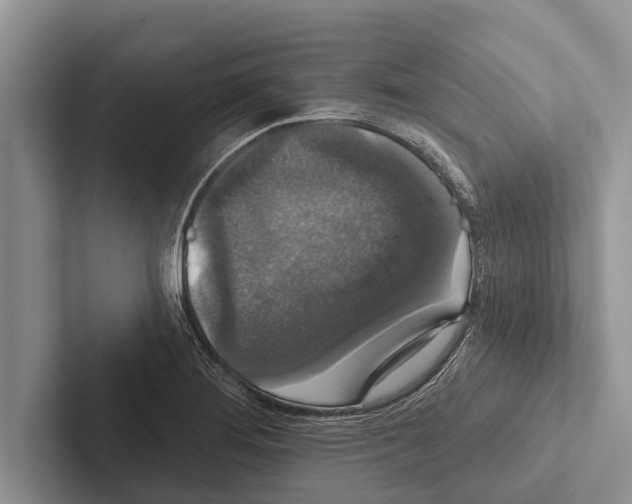 X0000102531276200809051501