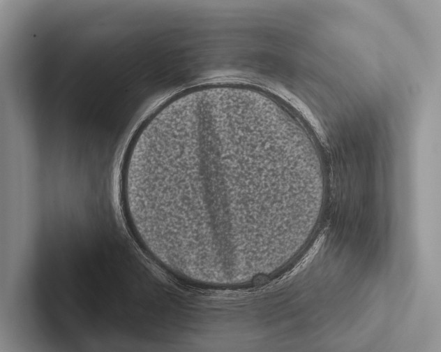 X0000102531277200809051501