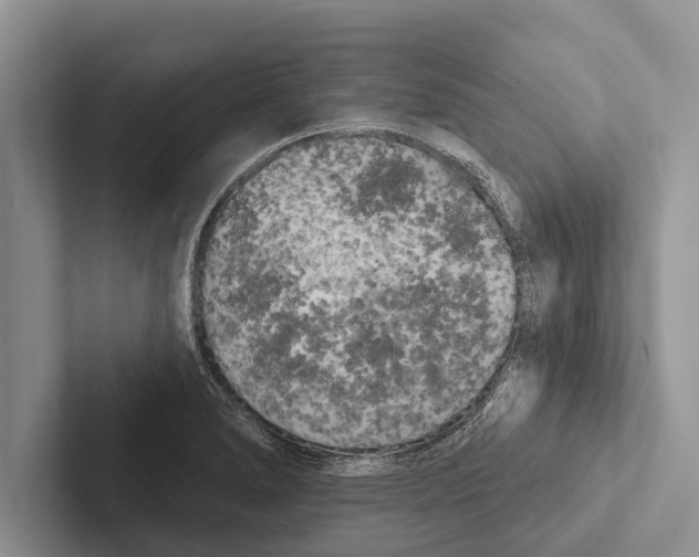 X0000102531278200809051501