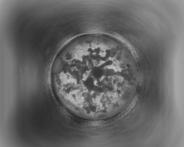 X0000102531279200809051501