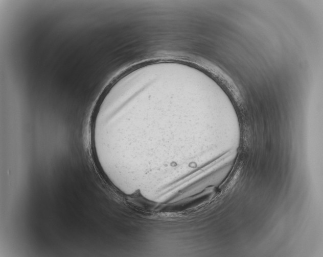 X0000102531280200809051501