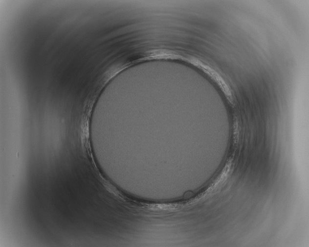 X0000102531281200809051501