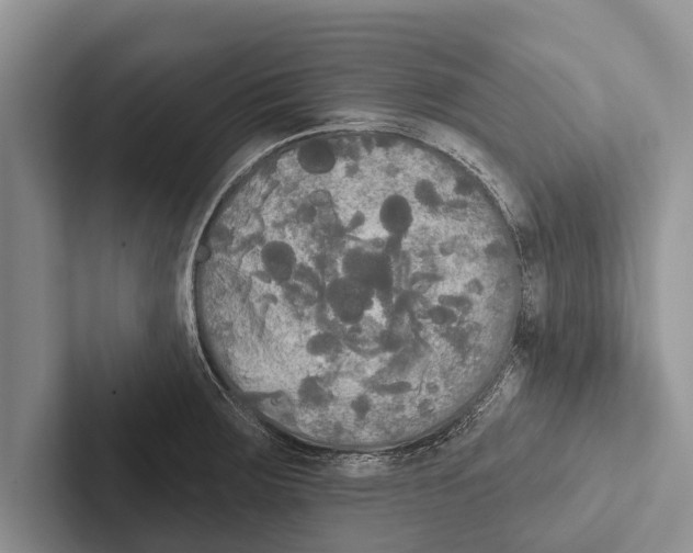 X0000102531283200809051501