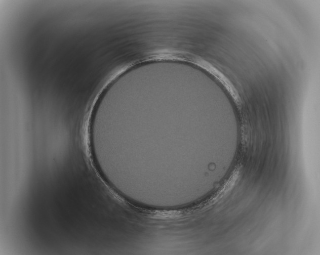 X0000102531285200809051501