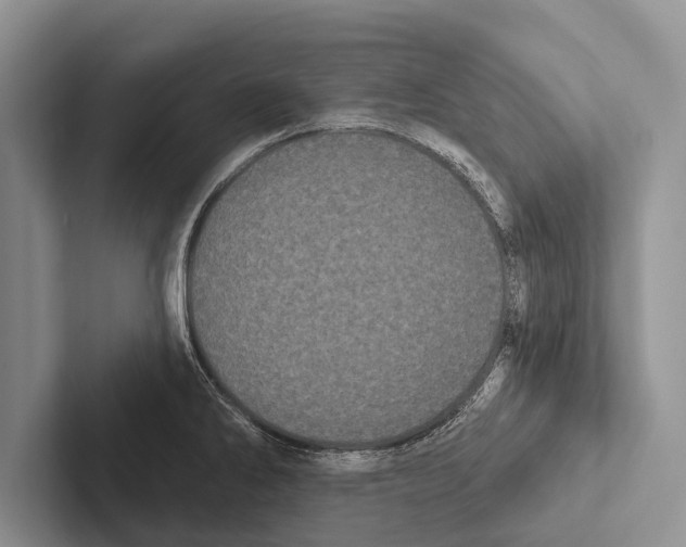 X0000102531286200809051501