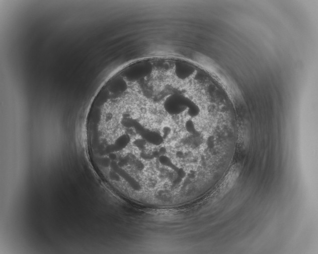 X0000102531287200809051501