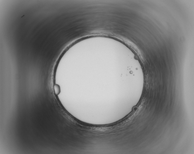 X0000102531288200809051501