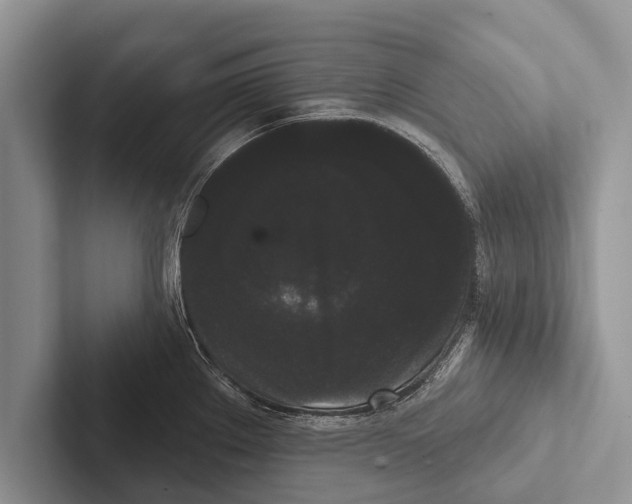 X0000102531289200809051501