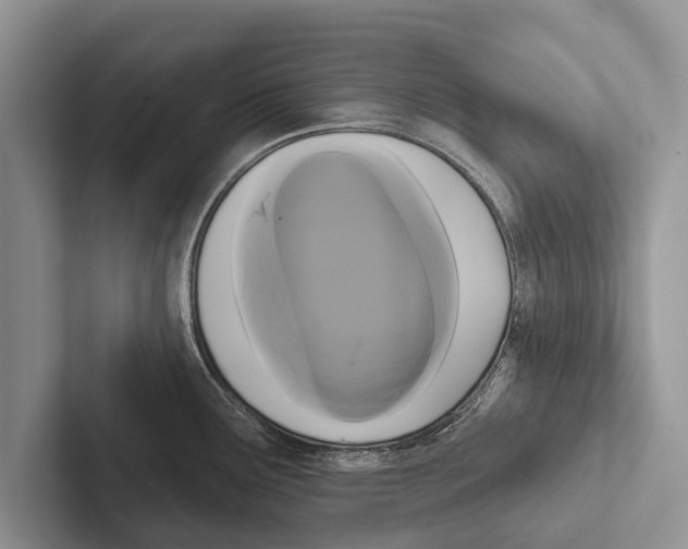 X0000102531291200809051501