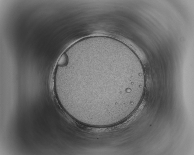 X0000102531292200809051501