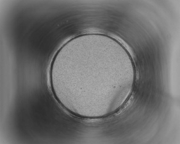 X0000102531293200809051501