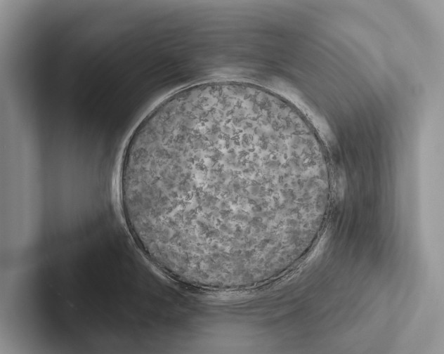 X0000102531294200809051501