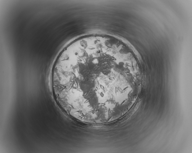X0000102531295200809051501