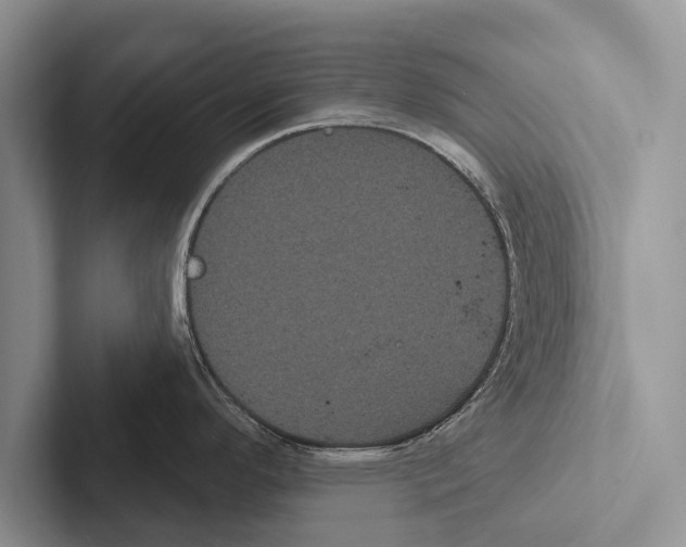 X0000102531296200809051501