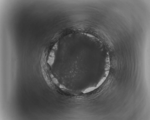 X0000102531297200809051500