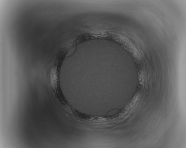 X0000102531298200809051500
