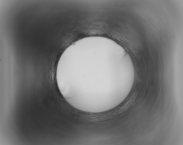 X0000102531300200809051500