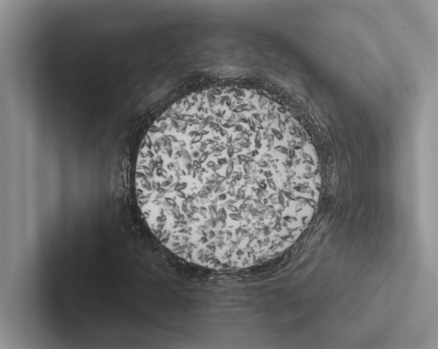 X0000102531301200809051500