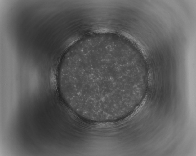 X0000102531305200809051500