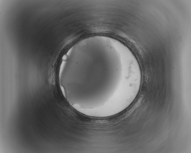 X0000102531306200809051500