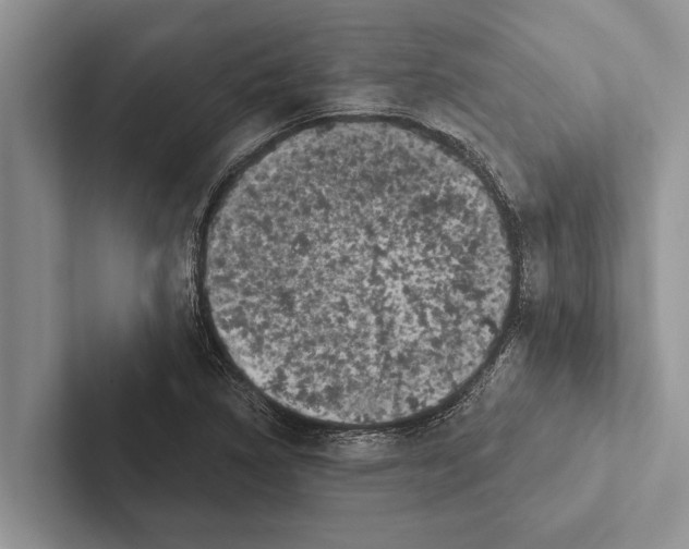 X0000102531314200809051501