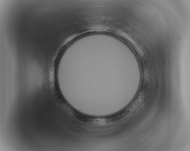 X0000102531315200809051501