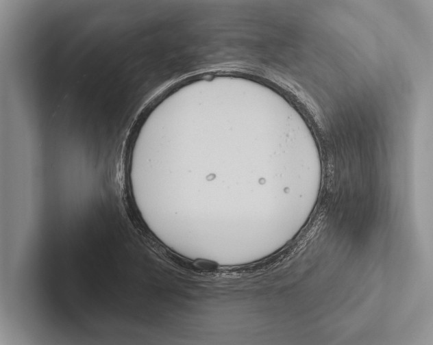 X0000102531316200809051501
