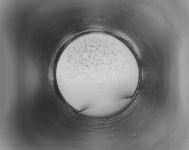 X0000102531318200809051501
