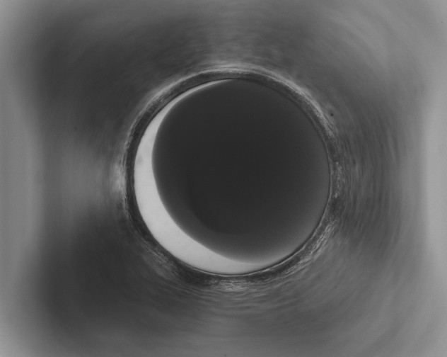 X0000102531319200809051501