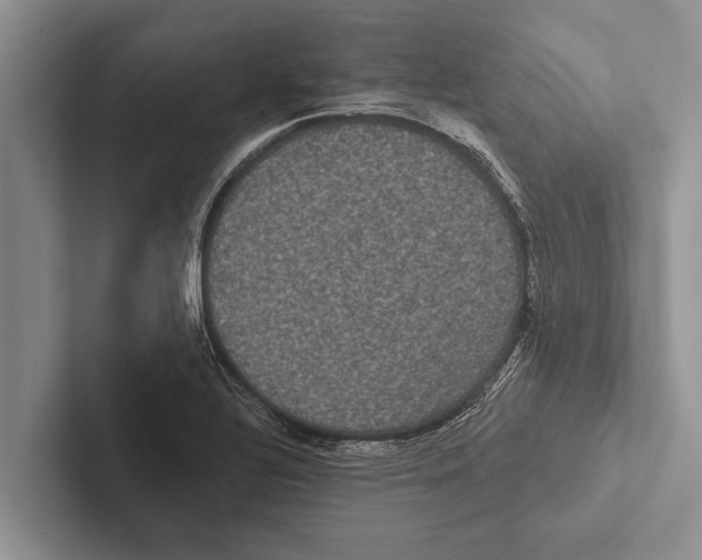 X0000102531320200809051501