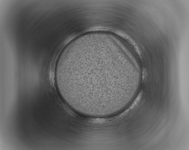 X0000102531321200809051501