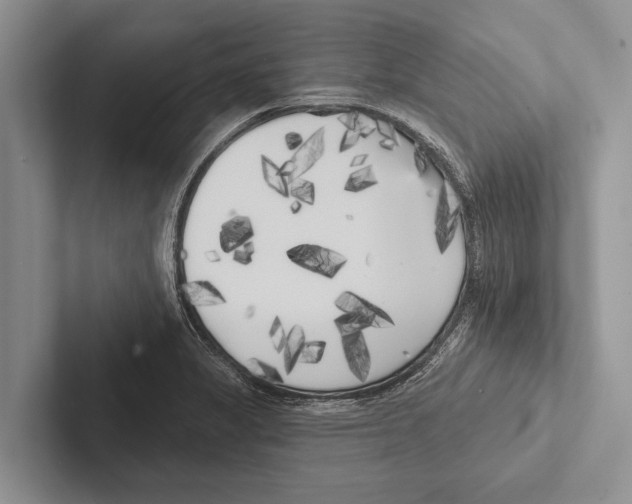 X0000102531325200809051501