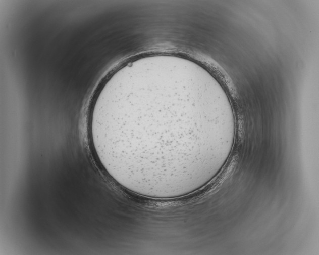 X0000102531326200809051501