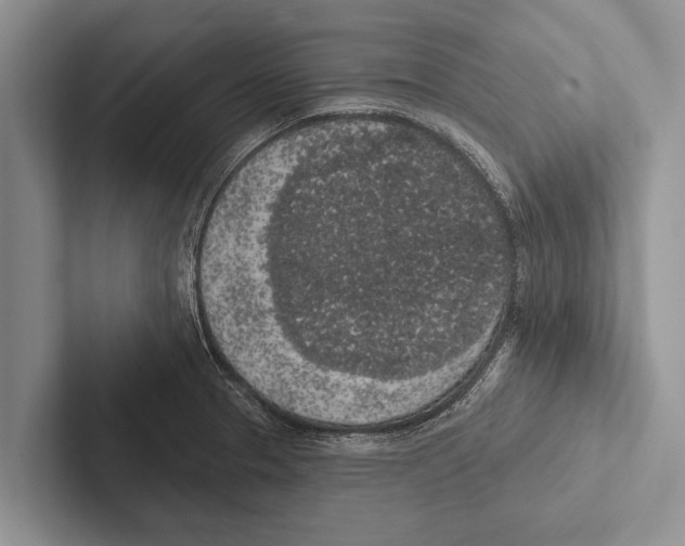 X0000102531329200809051501