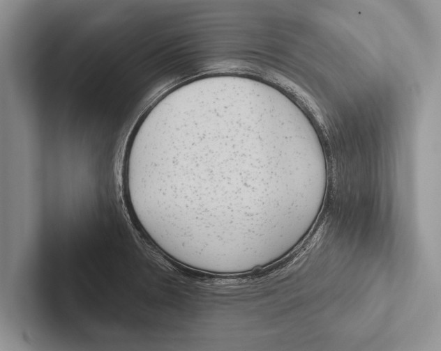 X0000102531330200809051501