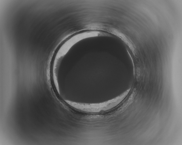 X0000102531331200809051501
