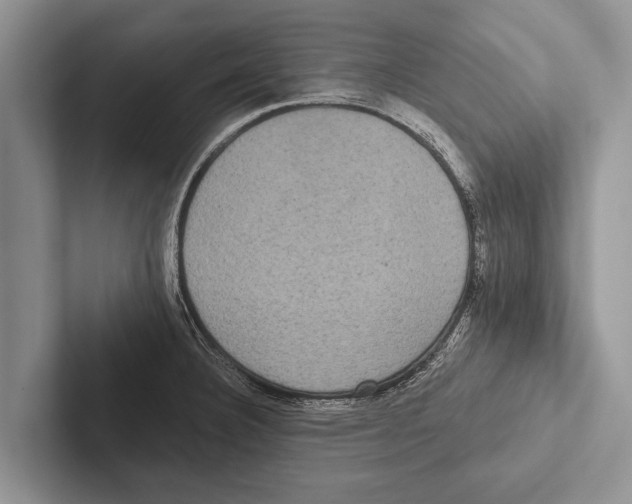 X0000102531332200809051501
