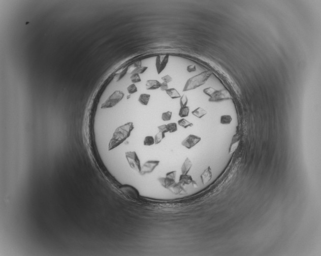 X0000102531333200809051501