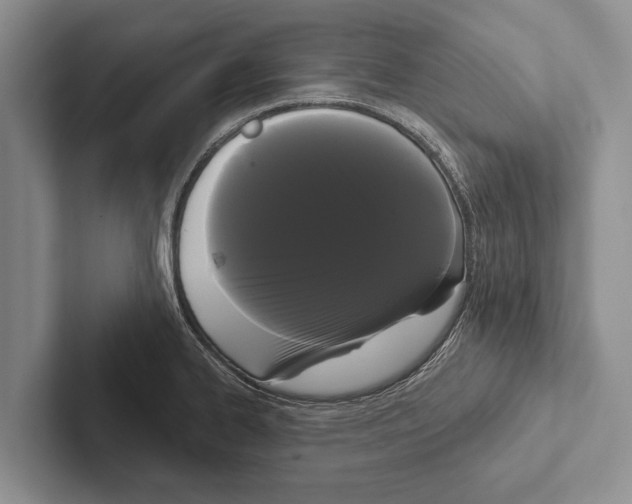 X0000102531334200809051501