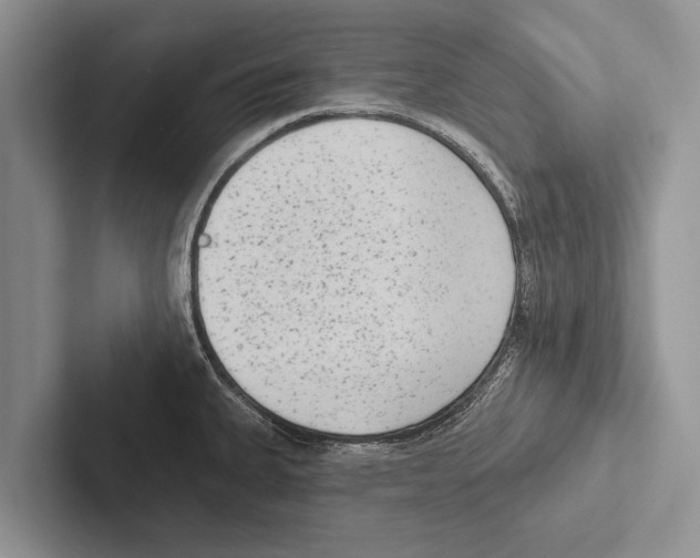 X0000102531335200809051501