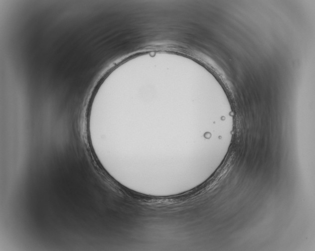 X0000102531336200809051501