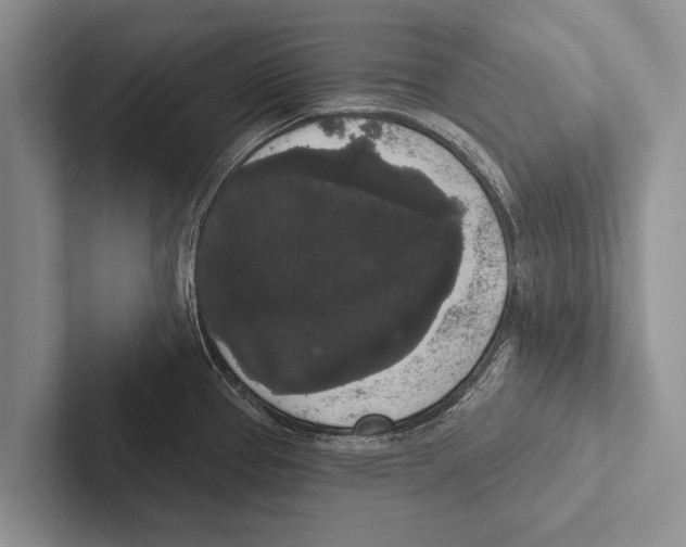 X0000102531337200809051501