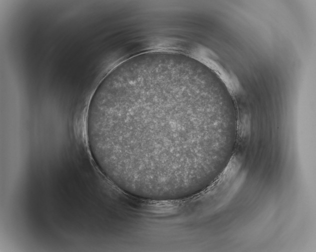 X0000102531338200809051501