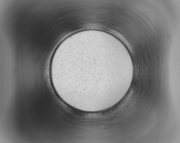 X0000102531339200809051501