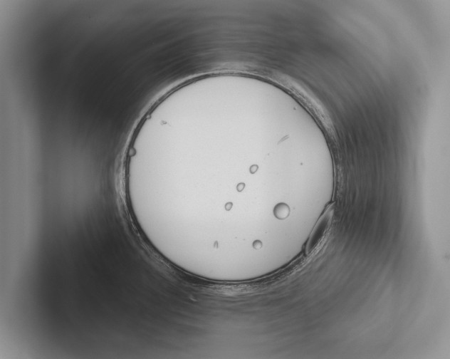 X0000102531340200809051501