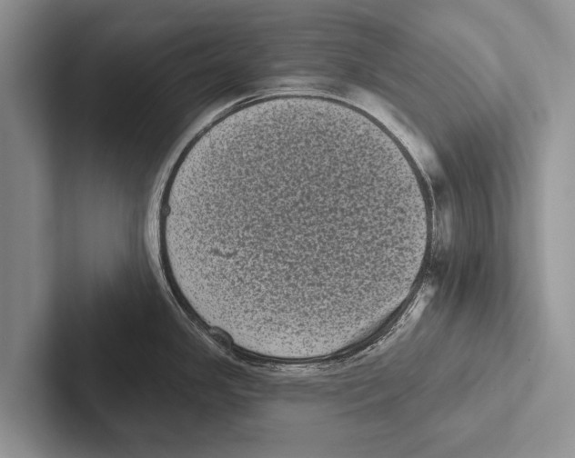 X0000102531341200809051501