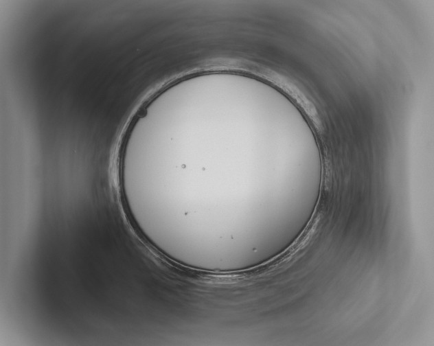 X0000102531342200809051501